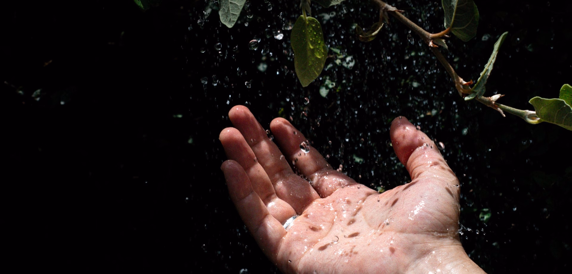 Eine geöffnete Hand hält sich unter einen feinen Wasserfall mit tropfendem Wasser und Blättern darüber.