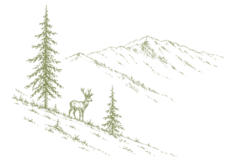 A sketch shows a mountain slope with fir trees and a deer.